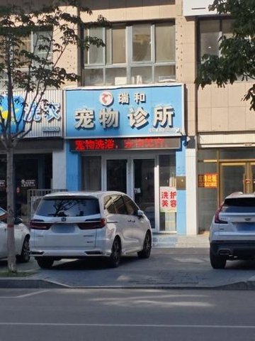 山东枣庄市薛城区附近的宠物医院有哪些？