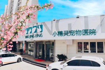 上海黄浦区附近的宠物医院有哪些？