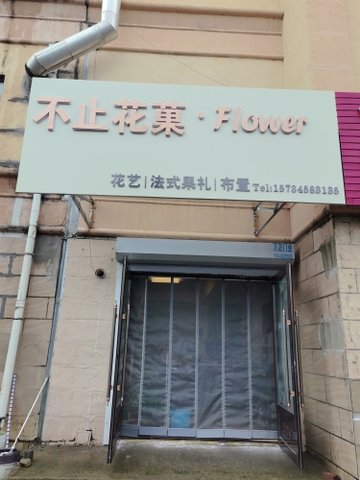 黑龙江伊春市伊美区附近的鲜花店有哪些？
