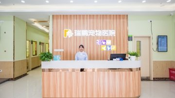 福建泉州市丰泽区附近的宠物医院有哪些？