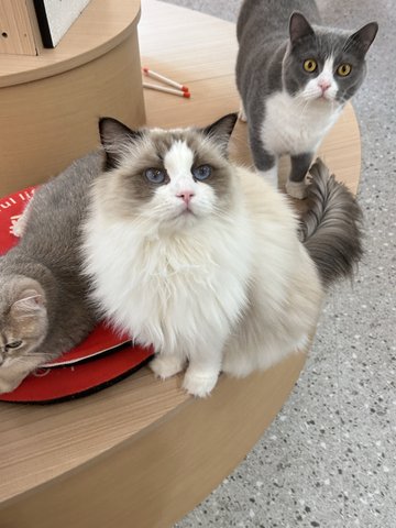 浙江宁波市海曙区附近的电玩城有哪些？