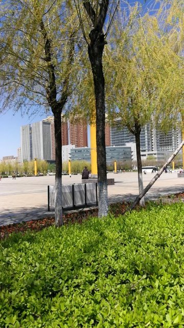 辽宁抚顺市顺城区附近的旅游景点有哪些？