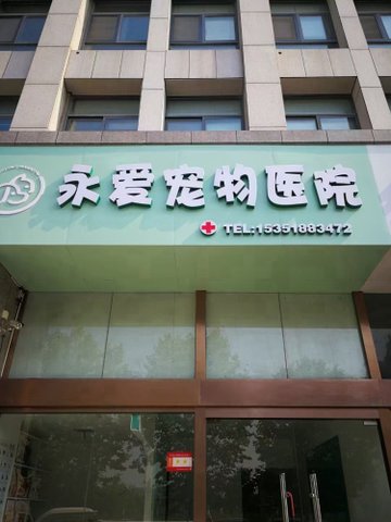 江苏连云港市海州区附近的宠物医院有哪些？