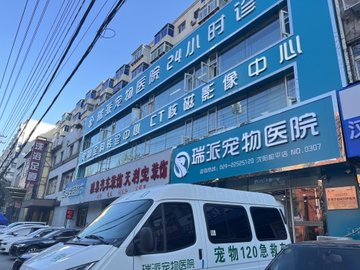 辽宁沈阳市和平区附近的宠物医院有哪些？