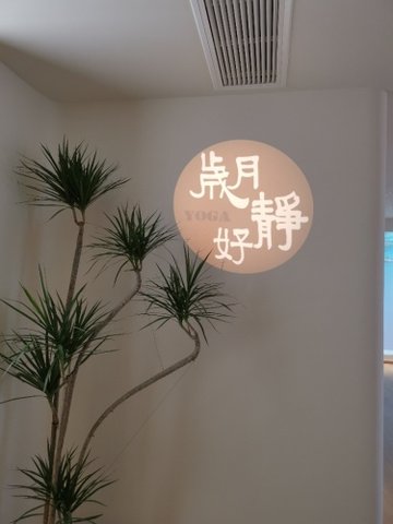 河南郑州市金水区附近的健身瑜伽馆有哪些？