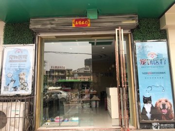 山西运城市盐湖区附近的宠物医院有哪些？