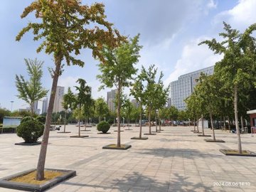 河北衡水市桃城区附近的旅游景点有哪些？