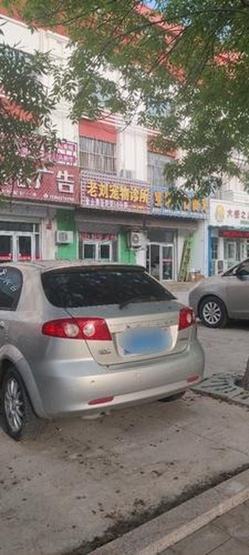 山东东营市东营区附近的宠物医院有哪些？