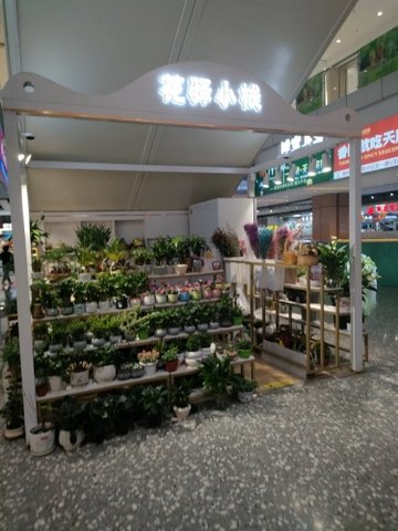 山东潍坊市奎文区附近的鲜花店有哪些？