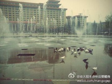 陕西西安市新城区附近的旅游景点有哪些？