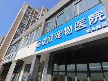 浙江舟山市定海区附近的宠物医院有哪些？