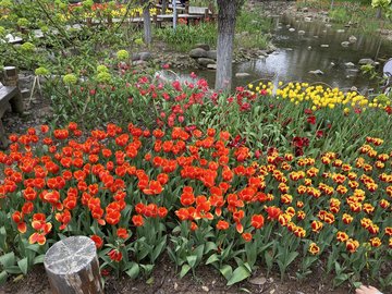 浙江丽水市莲都区附近的旅游景点有哪些？