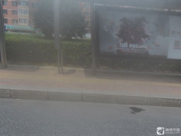 辽宁大连市西岗区附近的宠物医院有哪些？