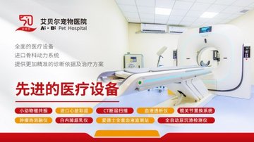 江苏南京市鼓楼区附近的宠物医院有哪些？