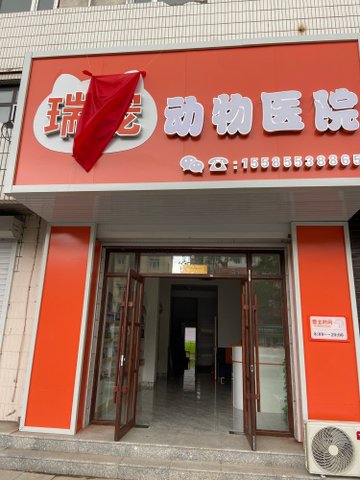 吉林白城市洮北区附近的宠物医院有哪些？