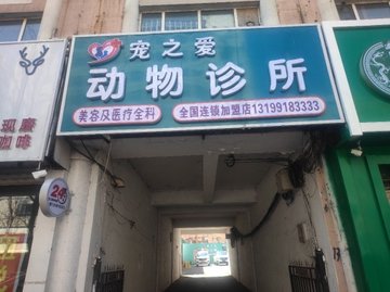 黑龙江鸡西市鸡冠区附近的宠物医院有哪些？