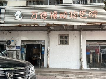 江苏淮安市清江浦区附近的宠物医院有哪些？