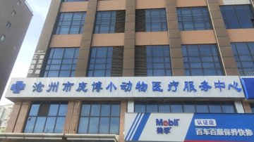 河北沧州市运河区附近的宠物医院有哪些？