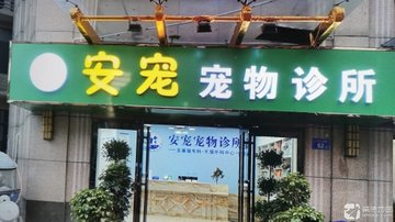 安徽六安市金安区附近的宠物医院有哪些？