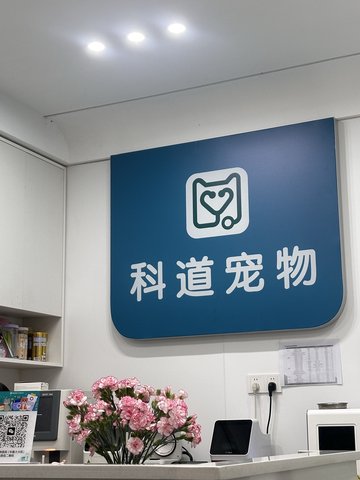 湖北武汉市武昌区附近的宠物医院有哪些？